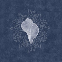 Serene Seashell & Algea - Navy Blue wallpaper