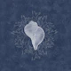 Serene Seashell & Algea - Navy Blue