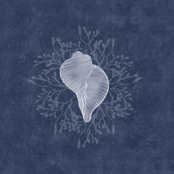 Serene Seashell & Algea - Navy Blue