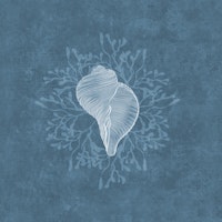 Serene Seashell & Algea - Aquamarine wallpaper