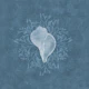 Serene Seashell & Algea - Aquamarine