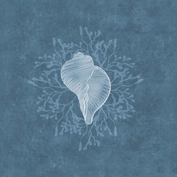 Serene Seashell & Algea - Aquamarine