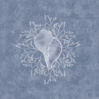 Serene Seashell & Algea - Misty Blue wallpaper