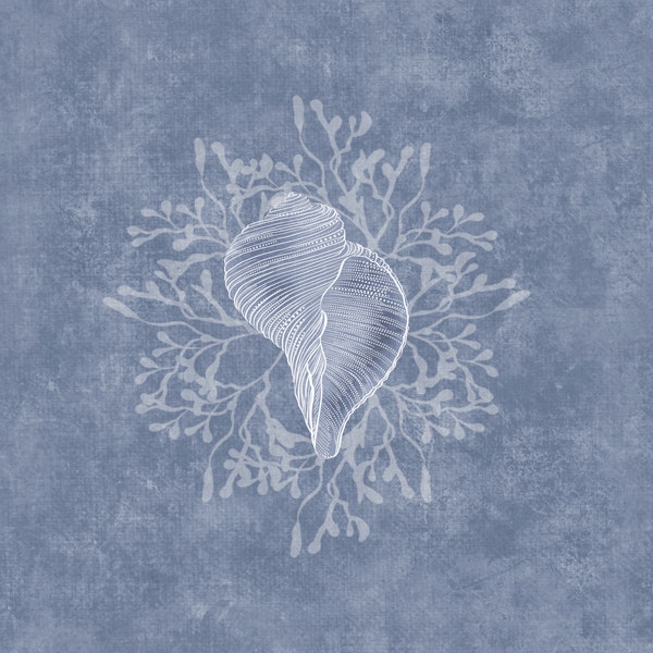Serene Seashell & Algea - Misty Blue