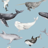 Ocean Wildlife Pattern M carta da parati