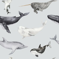 Whales & Dolphins Pattern M carta da parati