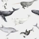 Sea Adventure Pattern M