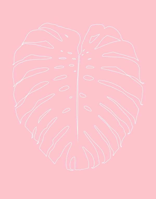 Monstera Leaf Line Art 2