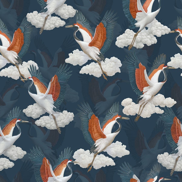 Japanese Crane Cloud Flight