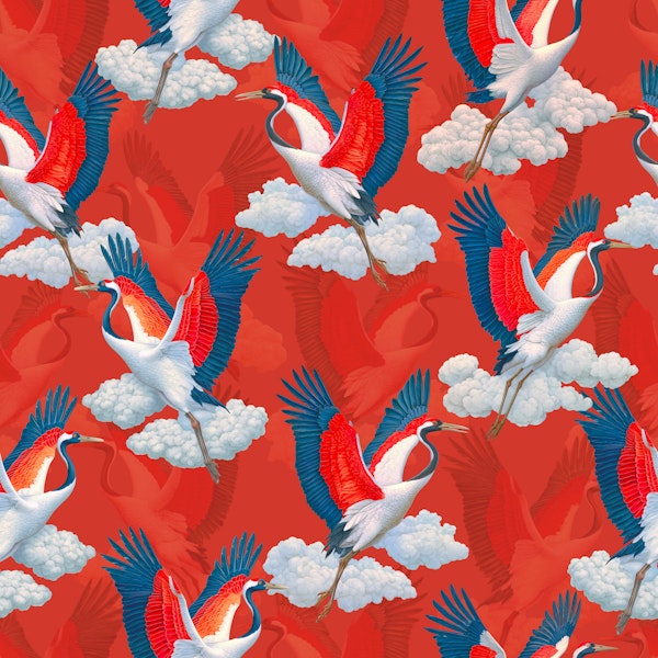 Japanese Crane Cloud Flight 02