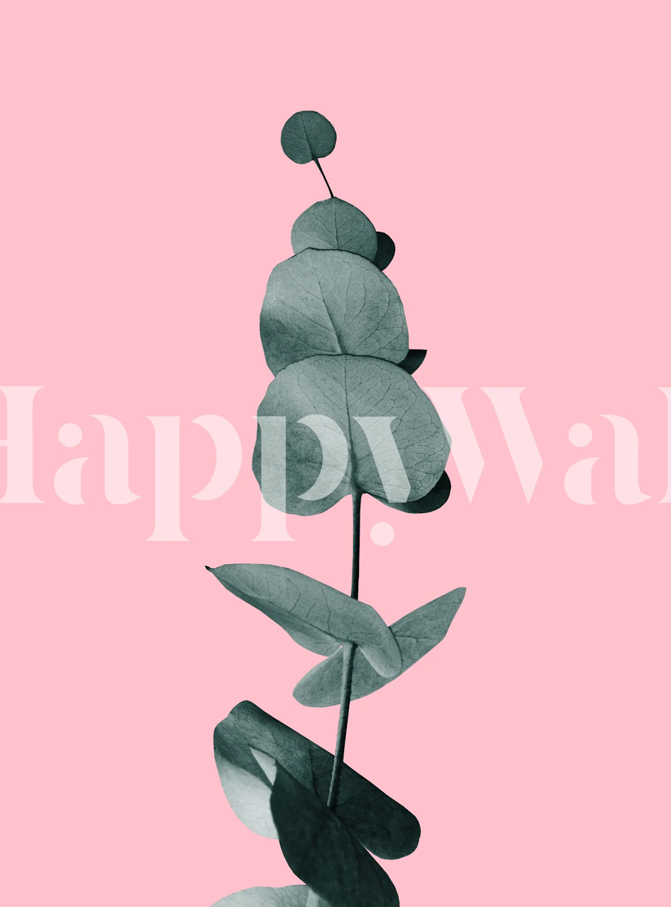 Eucalyptus Delight Glam 2 s růžovým pozadím