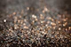 Rose Gold Glitter Bokeh Glam 1