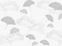 Ginkgo Leaves Soft Gray Dream 1 wallpaper
