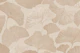 Ginkgo Leaves Beige Dream 2
