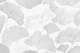 Ginkgo Leaves Soft Gray Dream 2