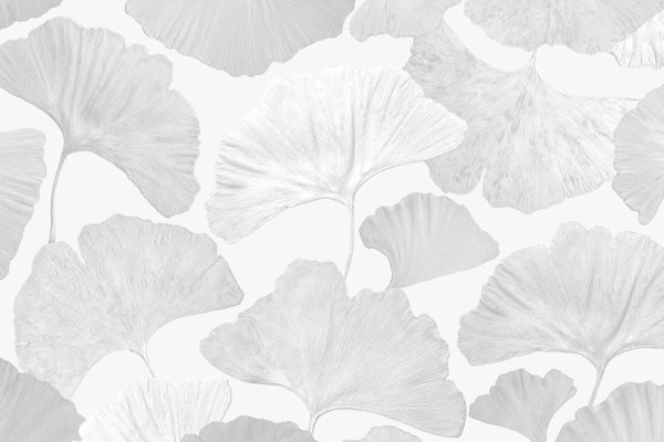 Ginkgo Leaves Soft Gray Dream 2