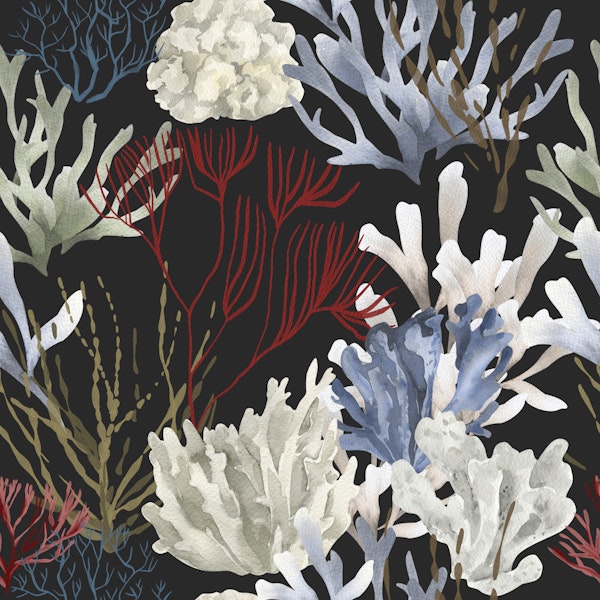 Tropical Coral Pattern M