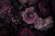 Moody Mauve Opulent Baroque Night Garden