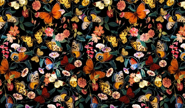 Butterfly Garden - Night