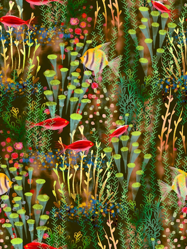 Java moss dream aquarium