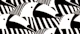 Birds Geometric Black