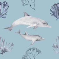 Dolphin & Coral Pattern M papiers peint