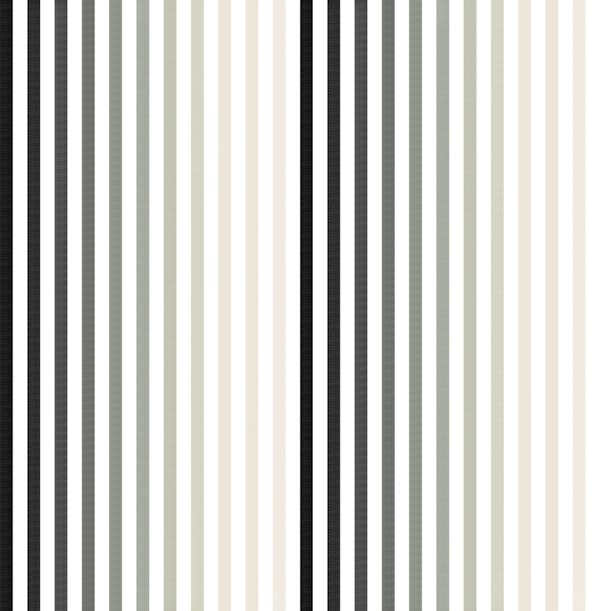 Stripes Rainbow Black and White