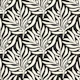 Black Olives Branches