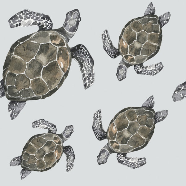 Watercolor Turtle Pattern M