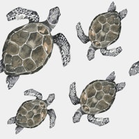 Swimming Turtles Pattern M tapete