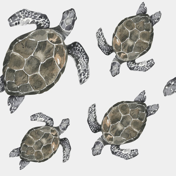 Swimming Turtles Pattern M