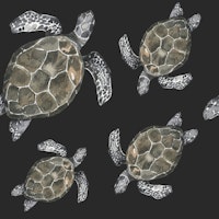 Ocean Turtle Pattern M tapete