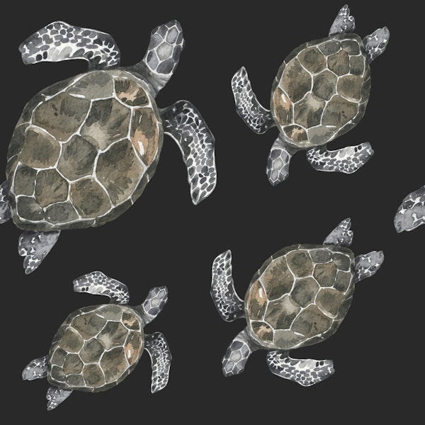 Ocean Turtle Pattern M