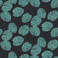 Teal Monstera Leaves on Charcoal behang