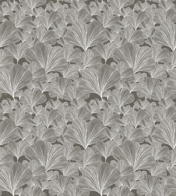 Monochrome Ginkgo Leaves