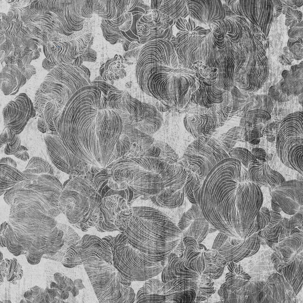 Monochrome Botanical Linework