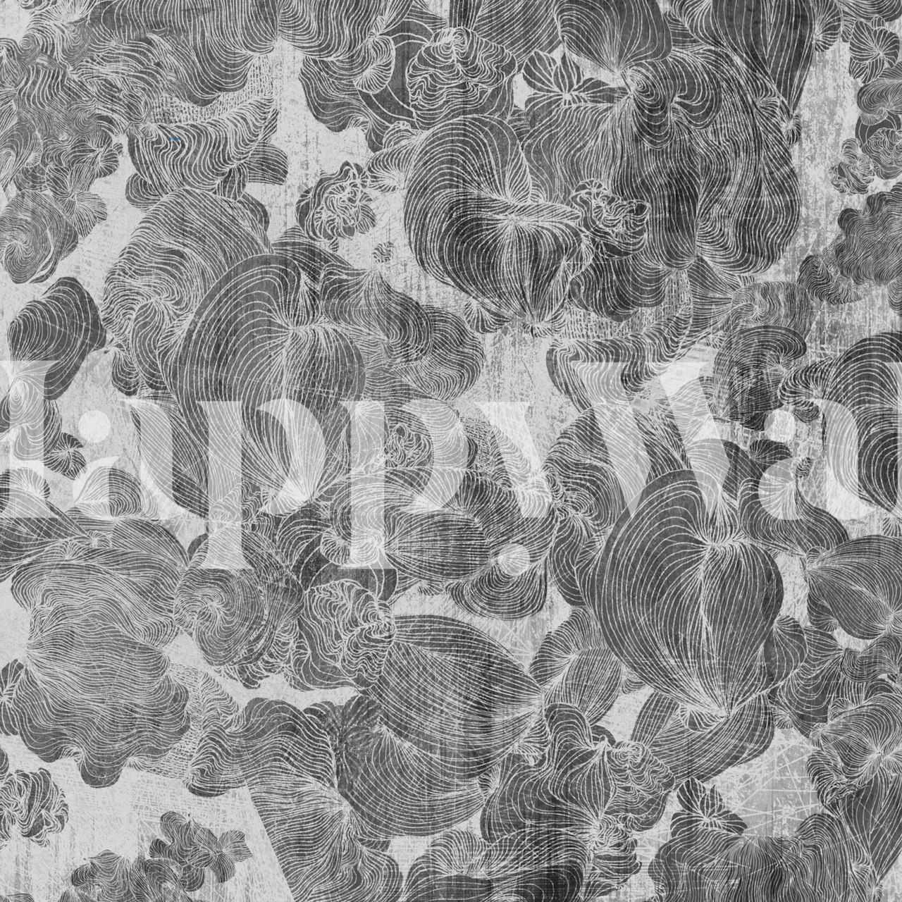 Monochrome Botanical Linework tapet i et rom