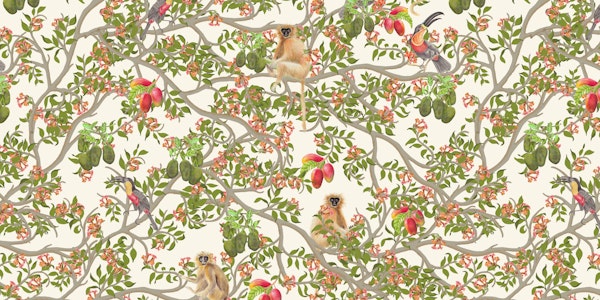 Ariel Toucans in White