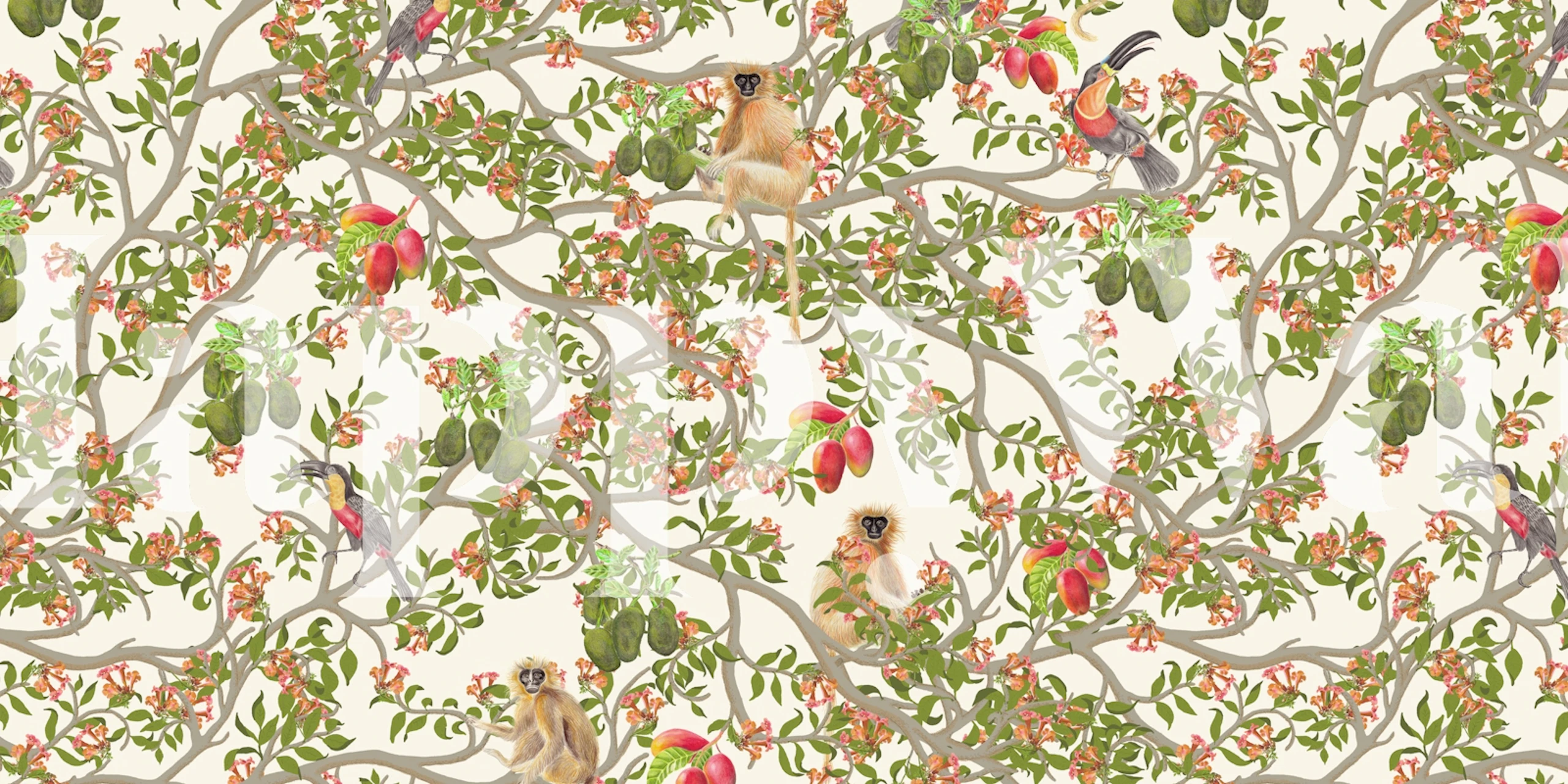 Toucans Ariel in White wallpaper displayed in a room