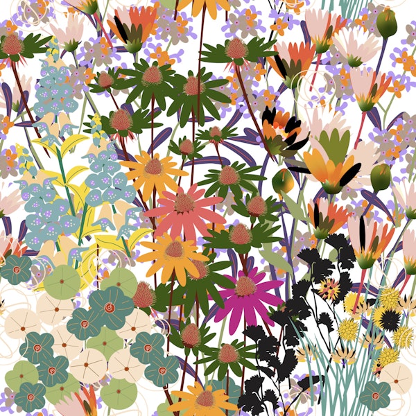 Colorful Meadow Wildflowers