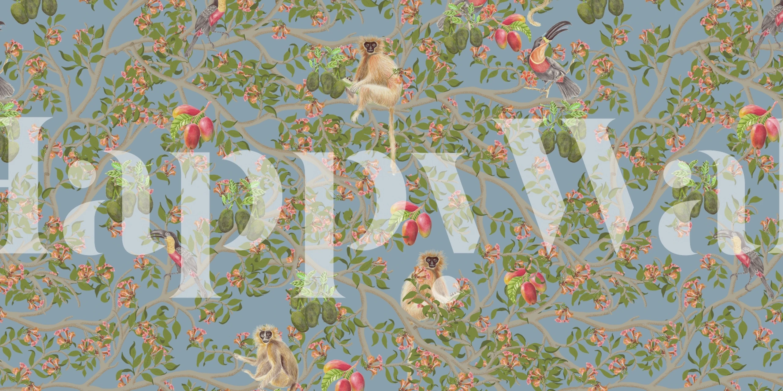 Vibrant toucans wallpaper in a room