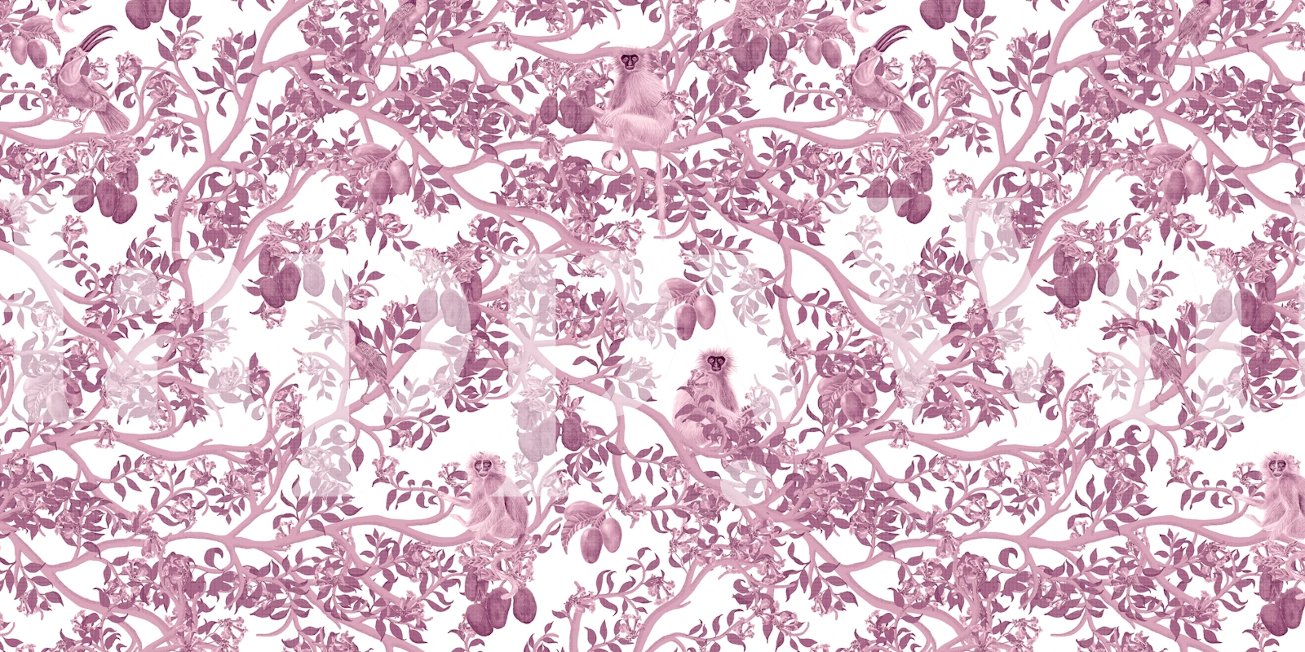 Ariel Toucans Pink Toile wallpaper in a room