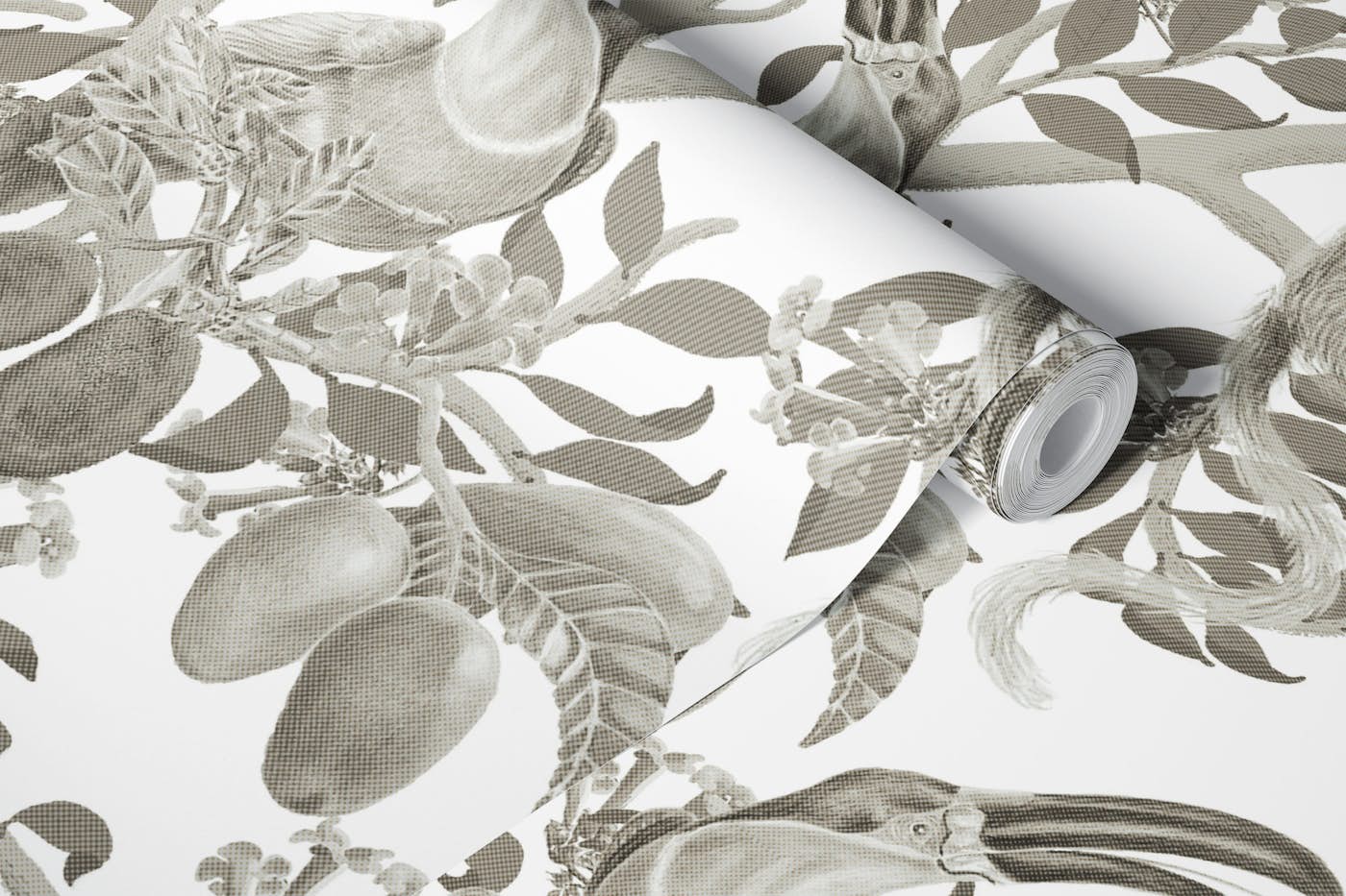 Ariel Toucans Graphite wallpaper roll