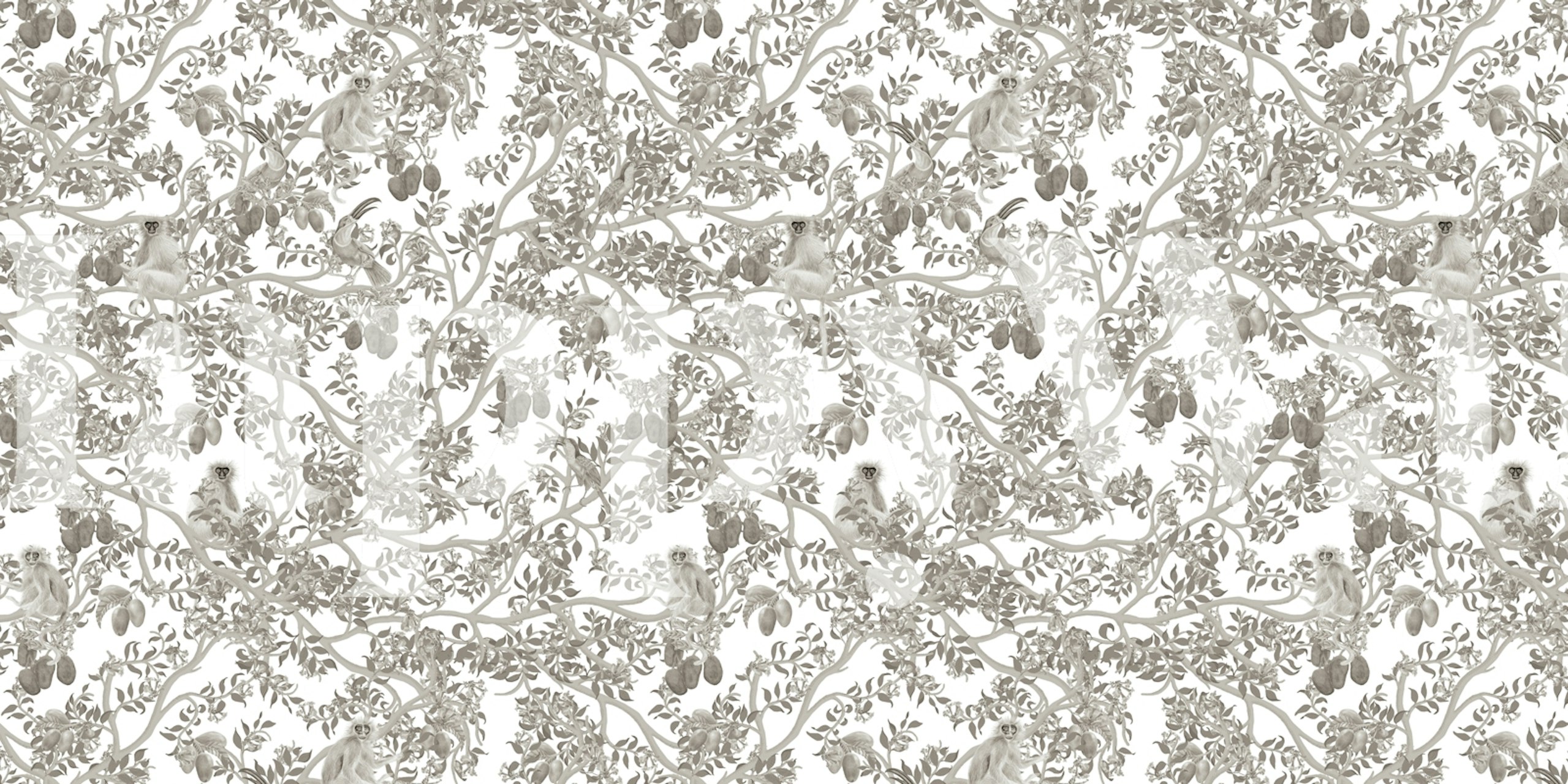 Ariel Toucans Graphite wallpaper in a room setting