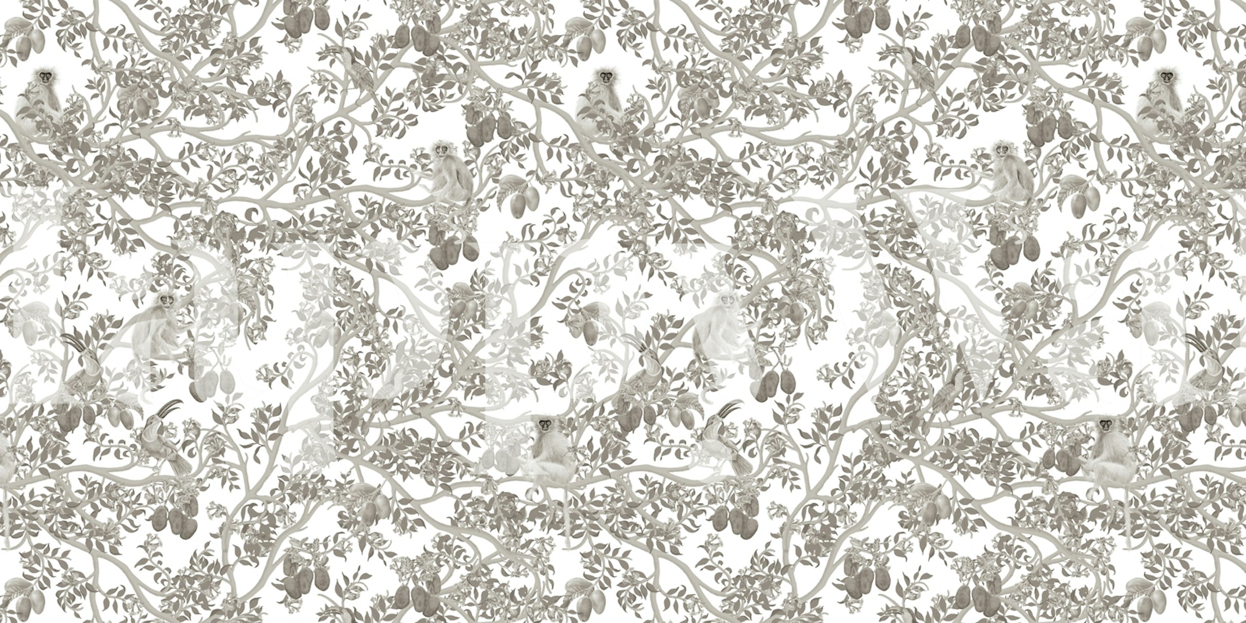 Ariel Toucans Graphite tapet i en rumindretning