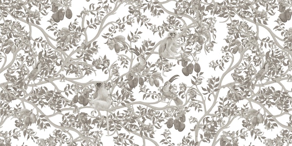 Ariel Toucans Graphite