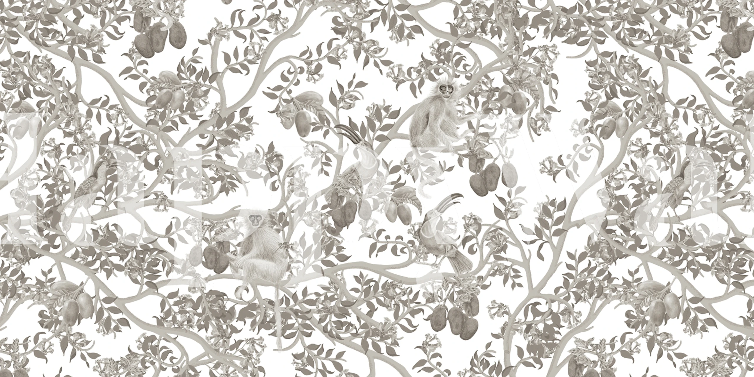 Ariel Toucans Graphite wallpaper in a room setting