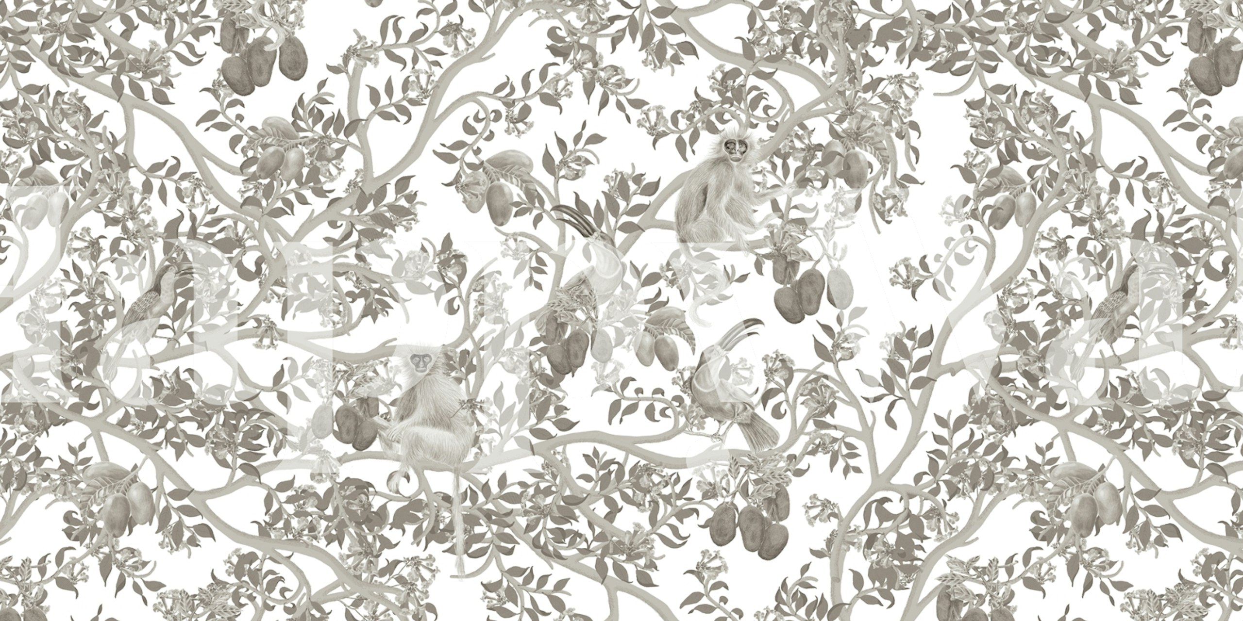Ariel Toucans Graphite wallpaper in a room setting