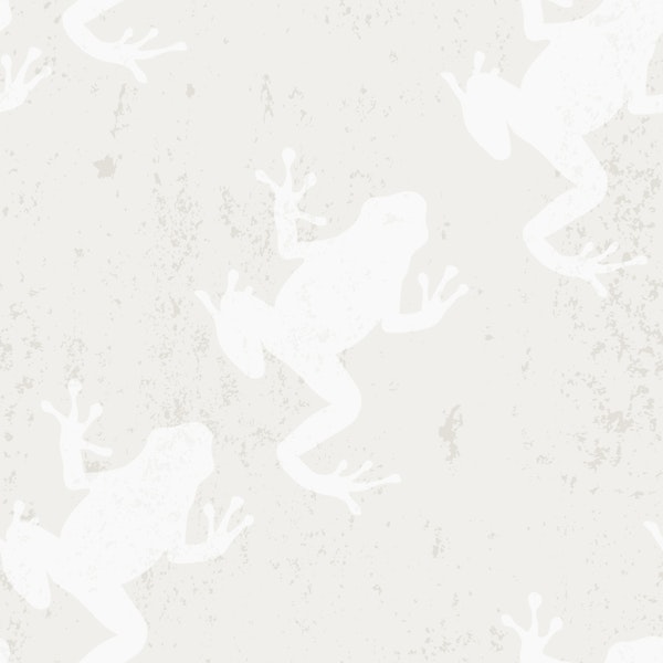 Frog in fog - Cloud dancer recital