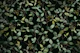 Ivy large watercolor leaves dark green black